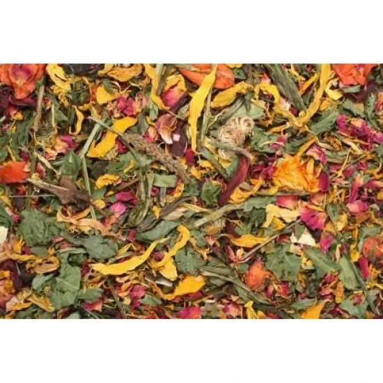 Jr Farm Campo Estivo 100gr mangime complementare