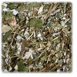 Jr Farm Foglie di Frutti di Bosco 100gr mangime complementare