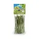 Bastoncini di Finocchio Jr Farm 15gr mangime complementare