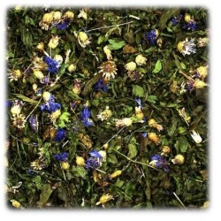 Jr Farm Piantaggine 100gr mangime complementare