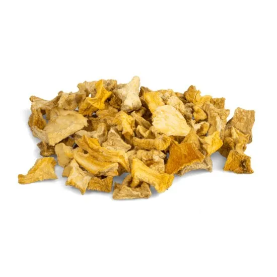All Nature Botanicals Veggie e Protein Pezzi di Zucca essiccati Bunny mangime complementare 
