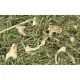 Jr Farm Sedano croccante 200gr mangime complementare