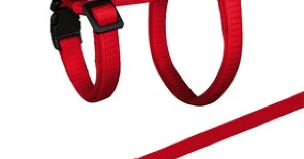 Rifugio Per Porcellini D'India Trixie - Plastica, 23x15x26 Cm, Per Interno Ed Esterno - Foto 2