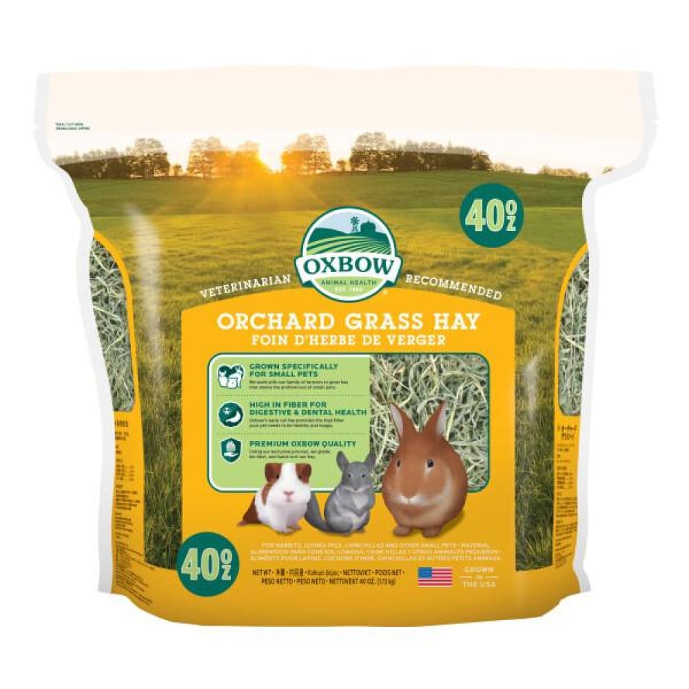 Fieno Oxbow - Orchard Grass Hay - 1,130 Kg mangime semplice per conigli e roditori